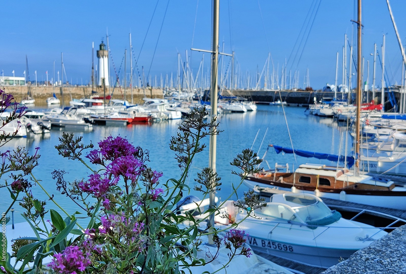 la mer du bon cote - Port Haliguen 5